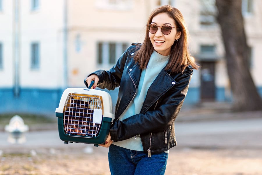 Torrance Vets, Testimonials